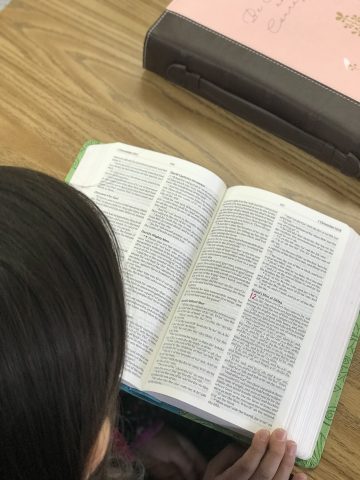 Students use a wide variety of Bible versions to understand the meaning of God's word.